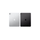 iPad Pro 13" ( M4 - 2024 ) 256GB Negro Espacial y Plata